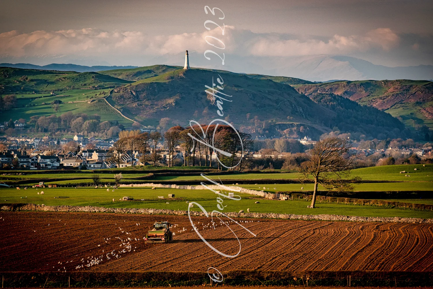 Ploughing time Ulverston